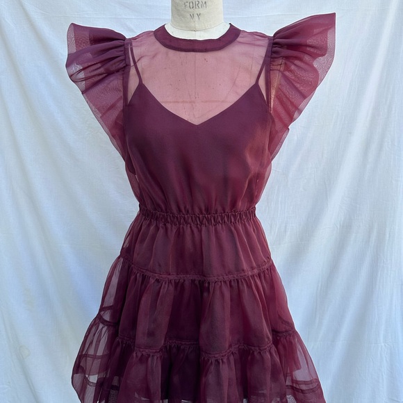 Jonathan Simkhai Burgundy Sheer organza Ruffle Mini Dress